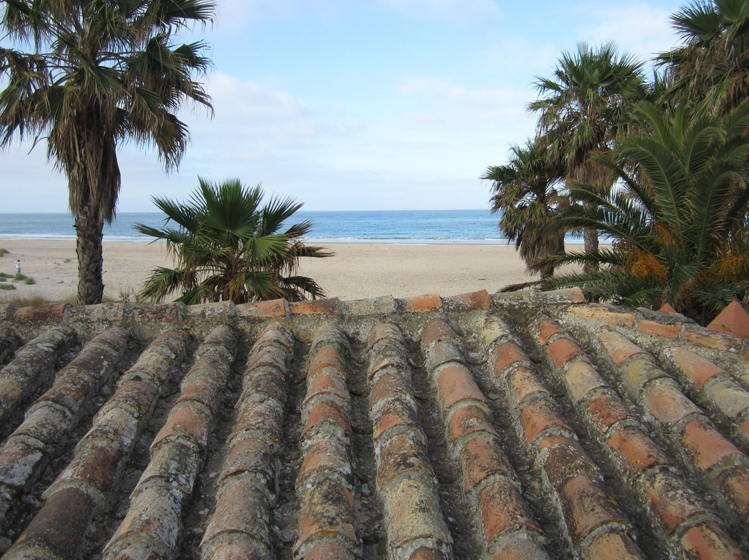 Casas de Porro旅游攻略图片