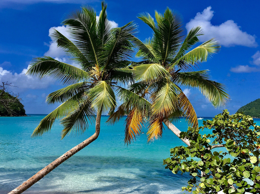 Maho Bay Beach