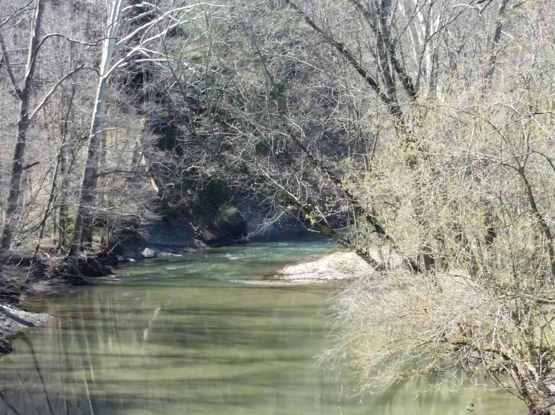 McCloud Nature Park-North Salem必去景点
