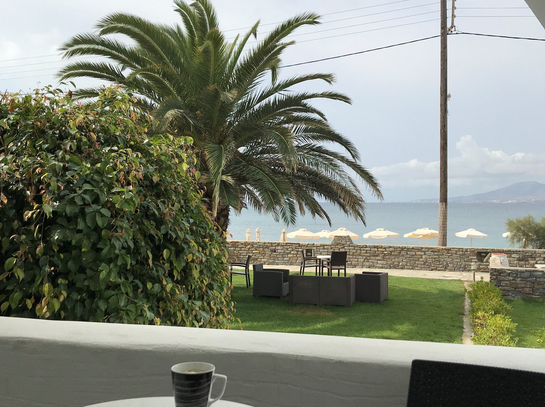 Liana Beach Hotel & Spa主图