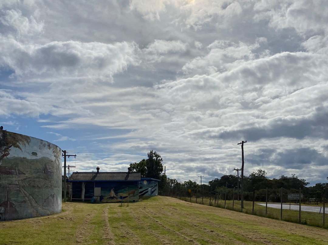 Monto Water Tank Art by Debbie Watt