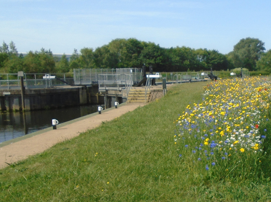 The Wellingborough To Ditchford Nene Way Walk.景点图片