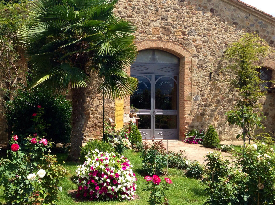 Agriturismo Castello Di Spedaletto Da Laura