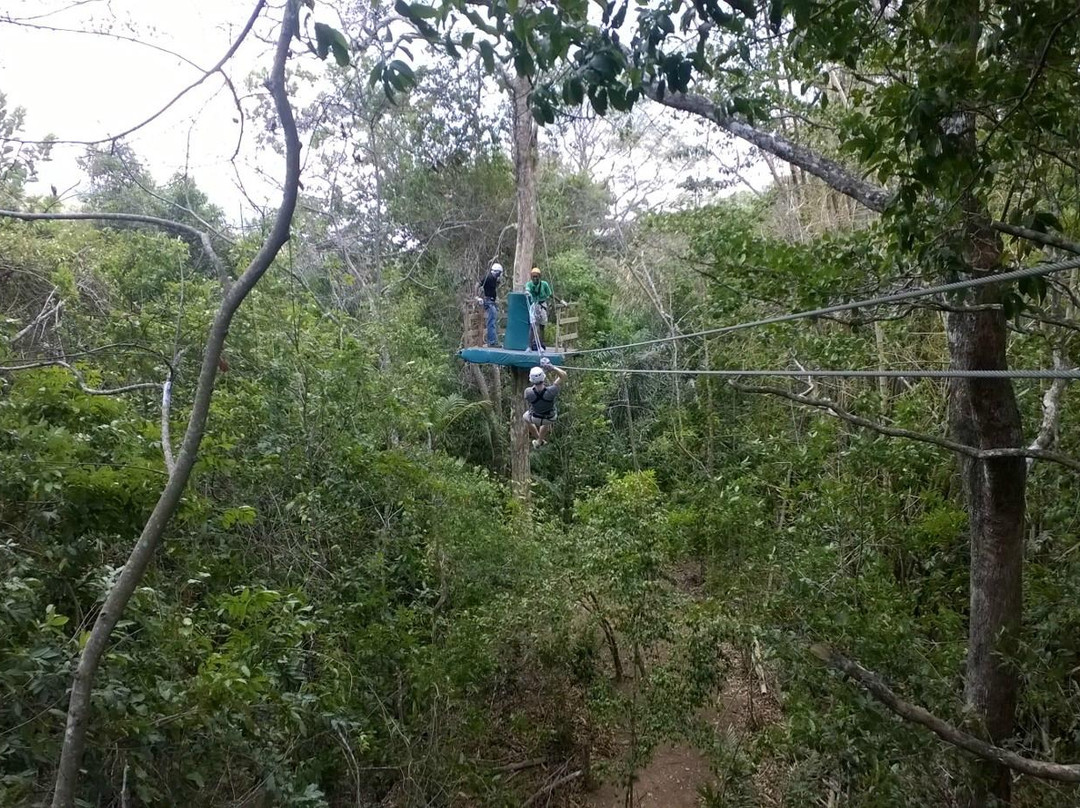 ZIP-ITT Adventure Tours