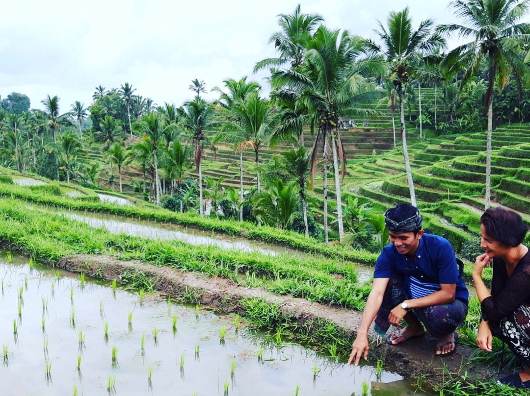 Ubud Fun Tour-乌布必去景点