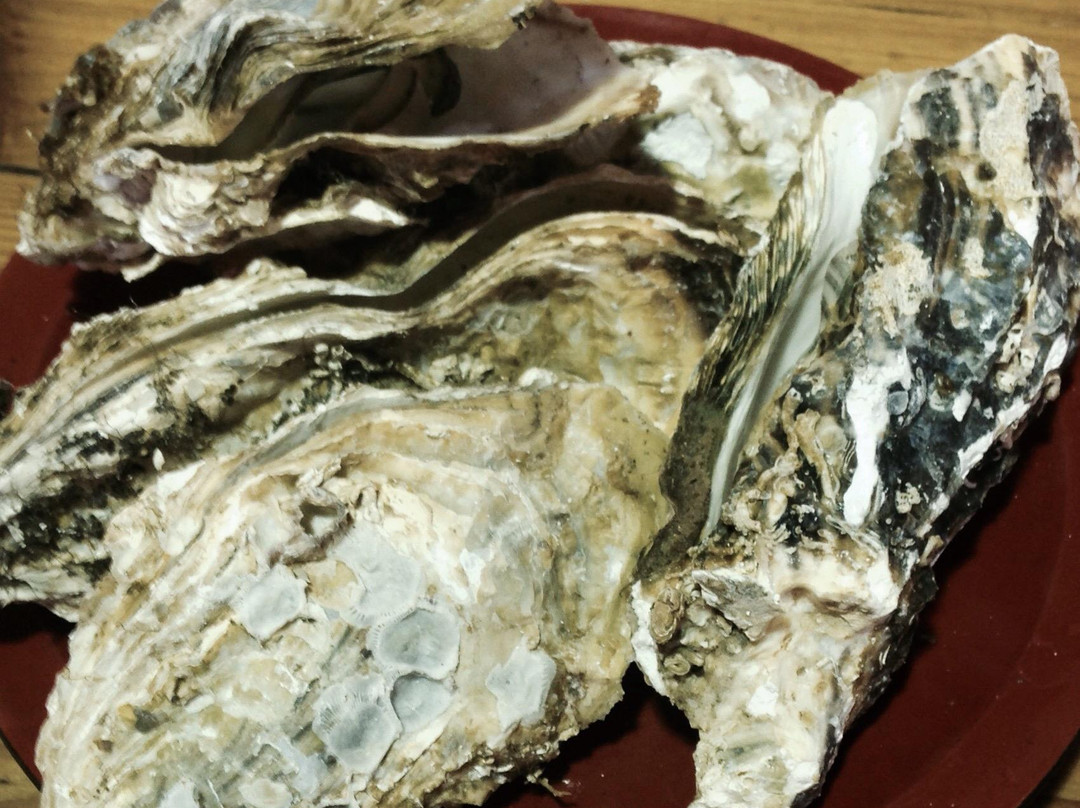 Toba Kaisen Ichiba Umi no Eki Kuroshio, Osatsu-鸟羽市必去景点