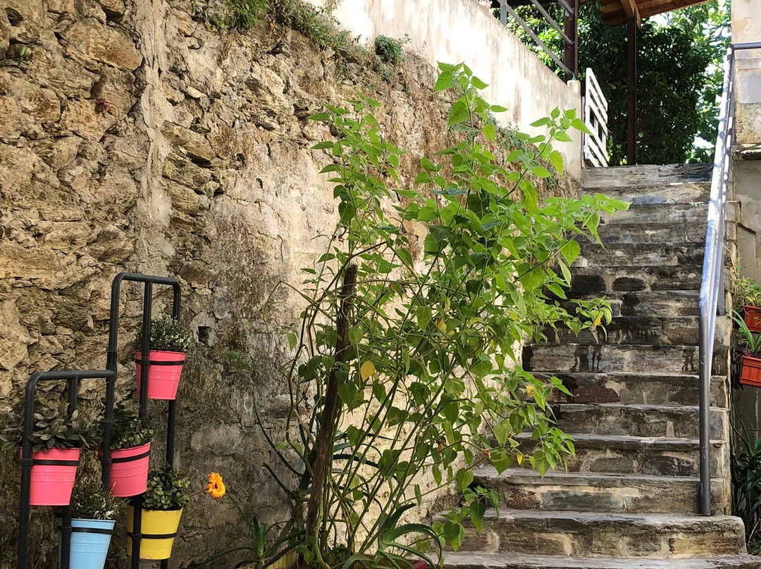 Casas Botelho Elias