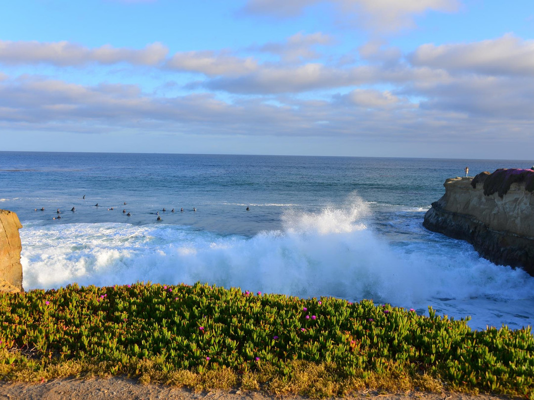 Lighthouse Field State Beach-圣克鲁斯必去景点