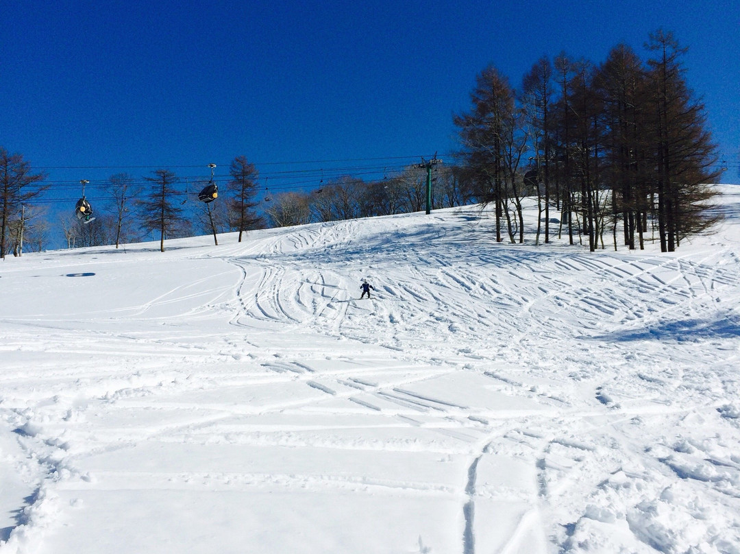 Snow Wave Park Shiratori Kogen-郡上市必去景点