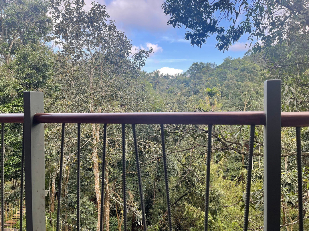Vyna Hillock Resort