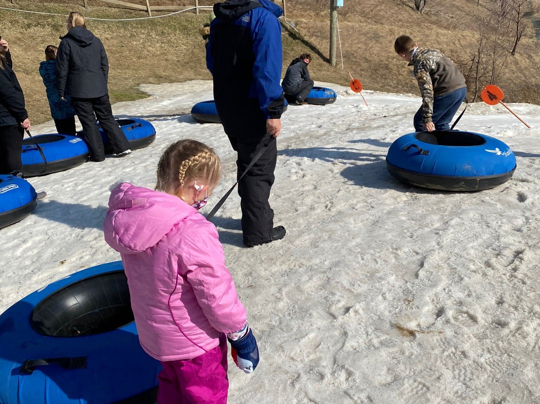Hawksnest Snow Tubing and Zipline景点图片