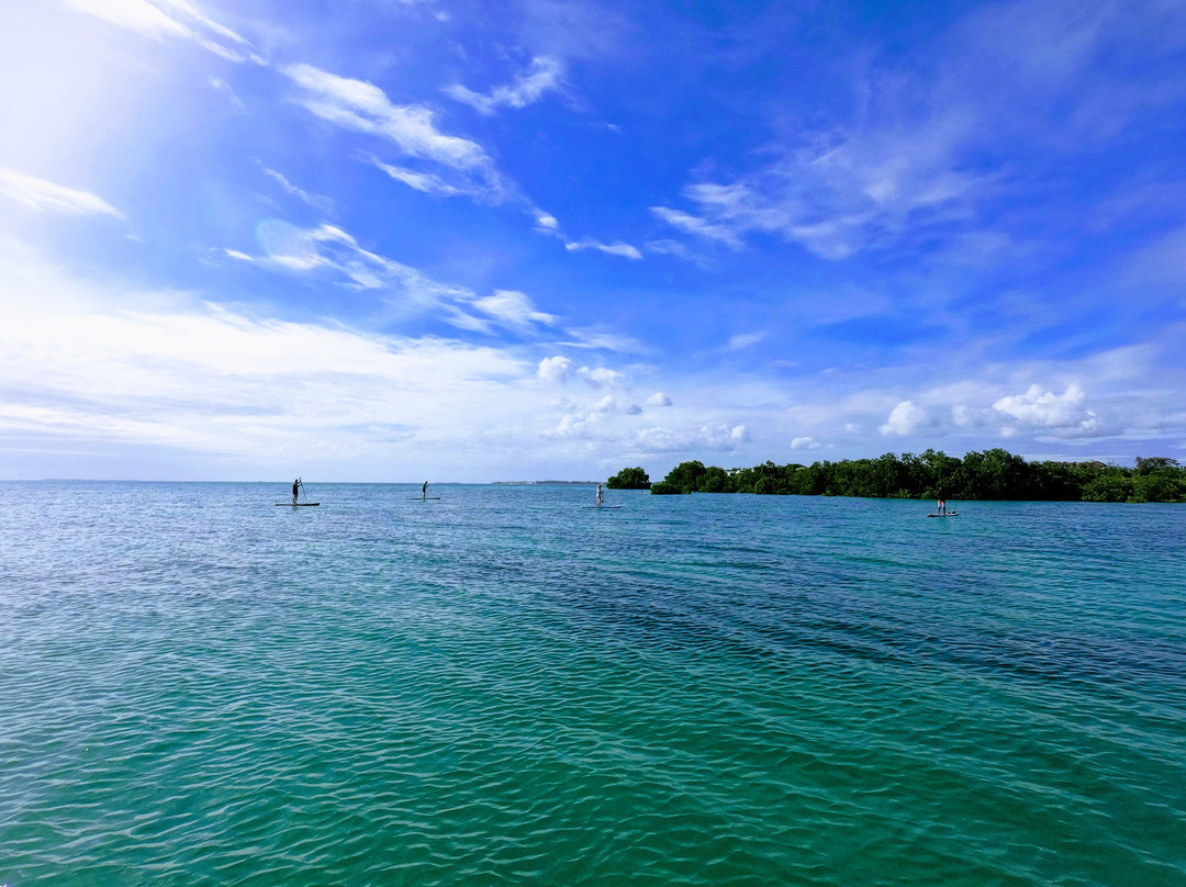 2 Winds Paddle Sports-桑给巴尔市必去景点