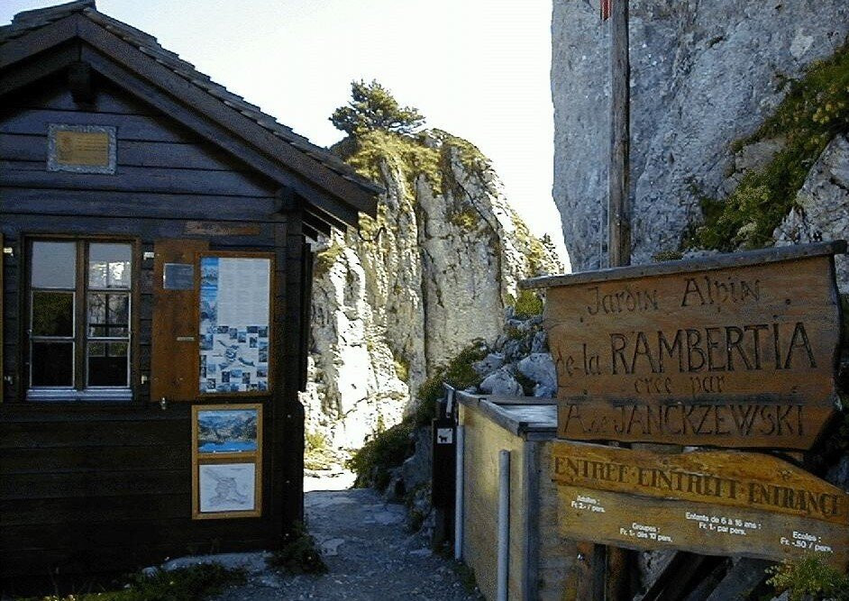 Alpine Garden La Rambertia-蒙特勒必去景点