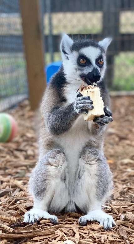 Hogansville旅游攻略图片