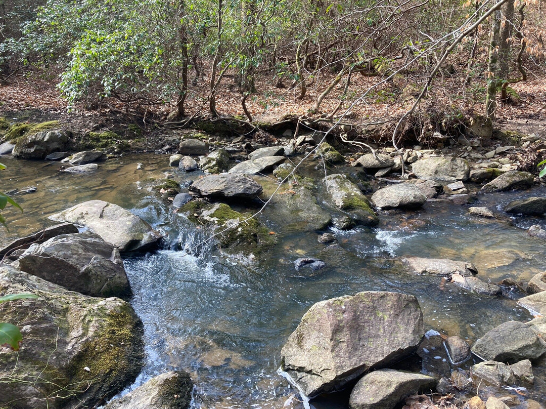 Uwharrie National Forest景点图片