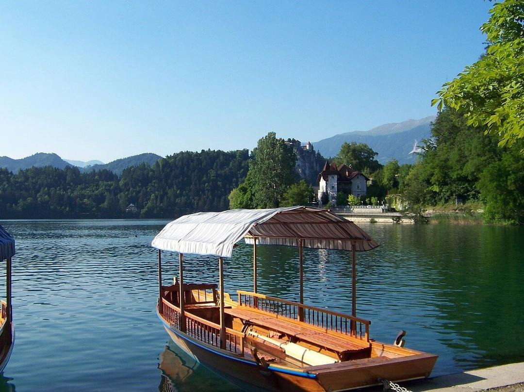 Lake Bled Mini Adventure景点图片