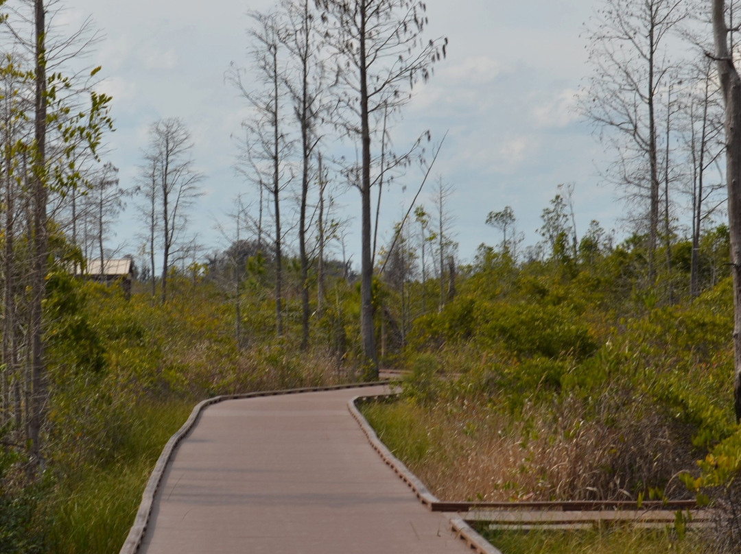 Chesser Island Homestead/Boardwalk-Folkston必去景点