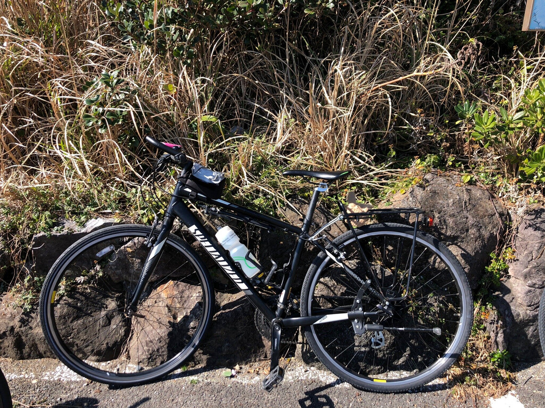Cycle Shikoku-高松市必去景点