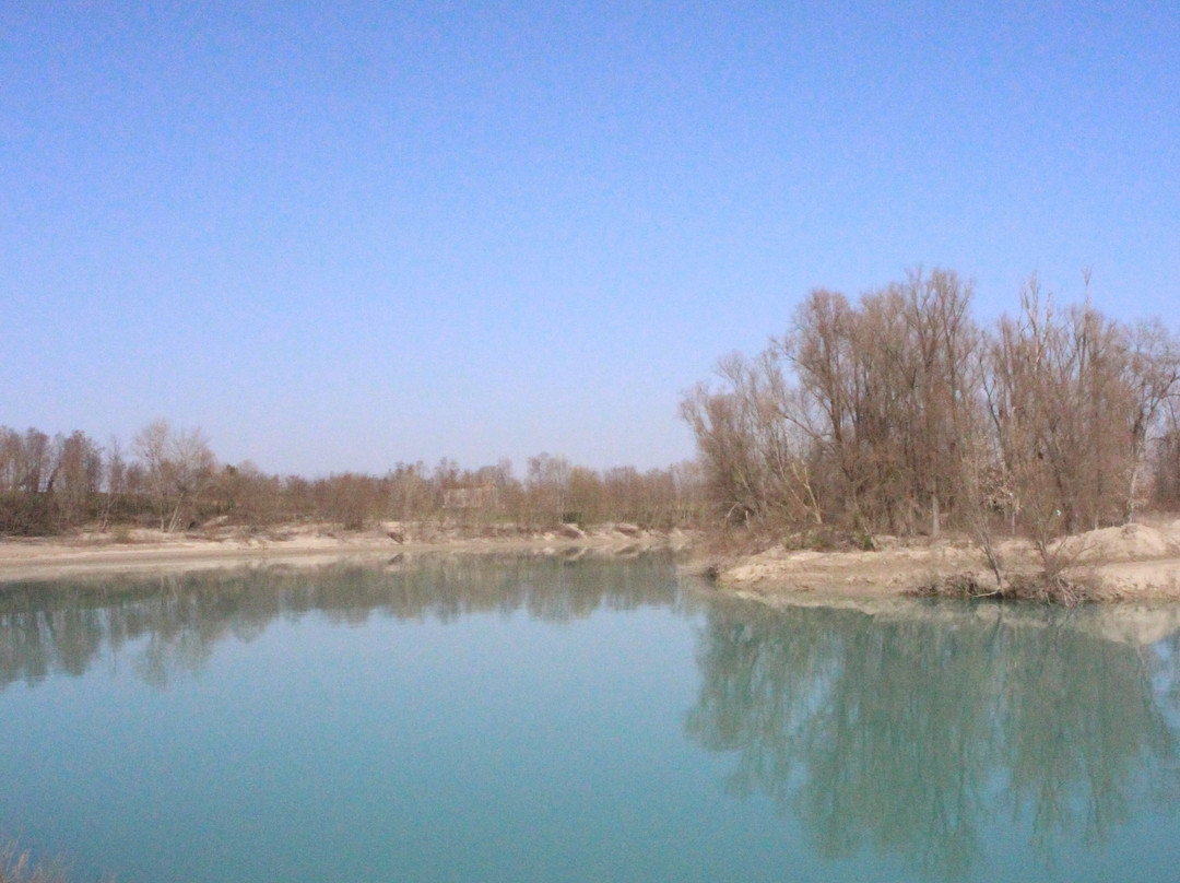 Parco Fluviale di Fossalta di Piave景点图片