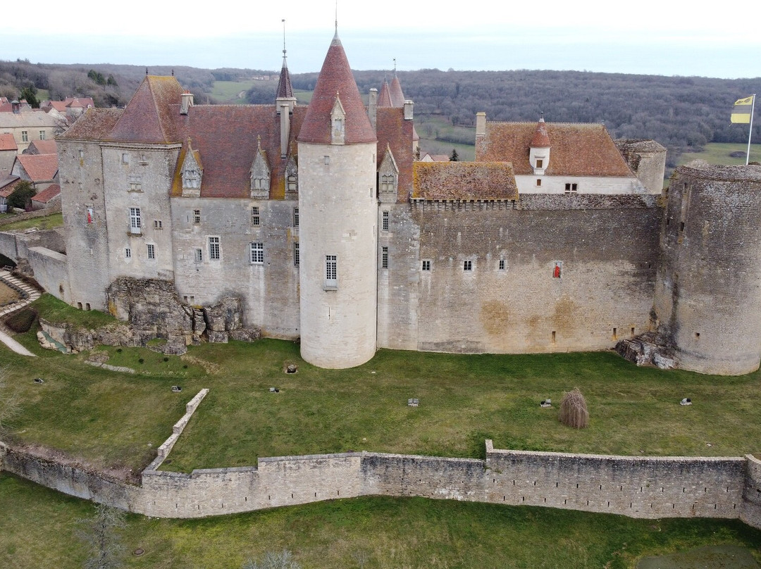 Chateau de Châteauneuf-en-Auxois景点图片