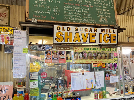 North Shore Beach Bus-火奴鲁鲁必去景点