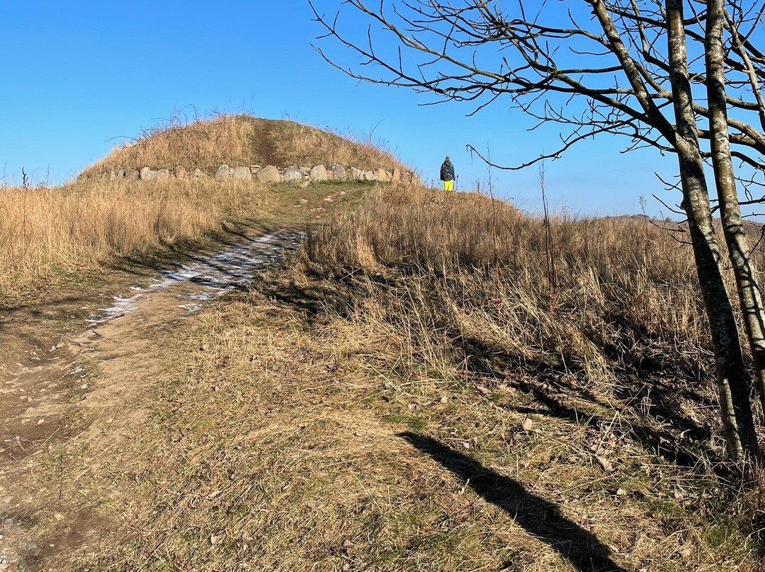 Hulbjerg Jættestue景点图片