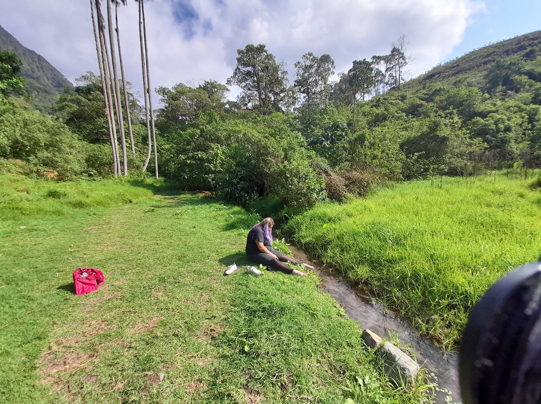 Parque Natural Chicaque-Chicaque必去景点