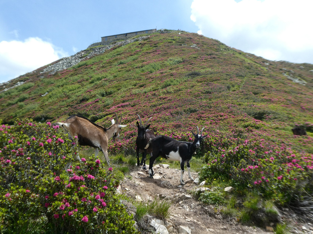 Monte Gambarogno-Indemini必去景点