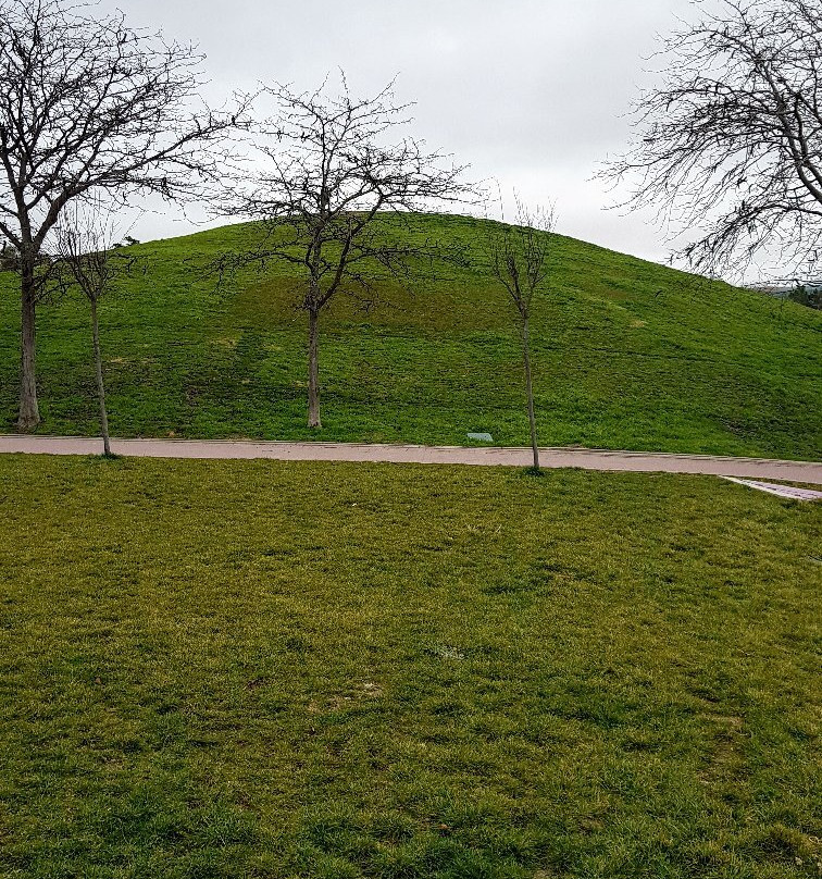 Cerro del Tio Pio景点图片