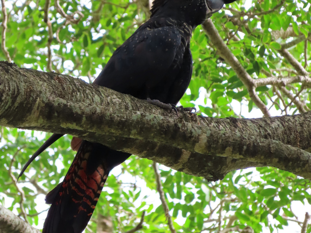 Riverway-汤斯维尔必去景点
