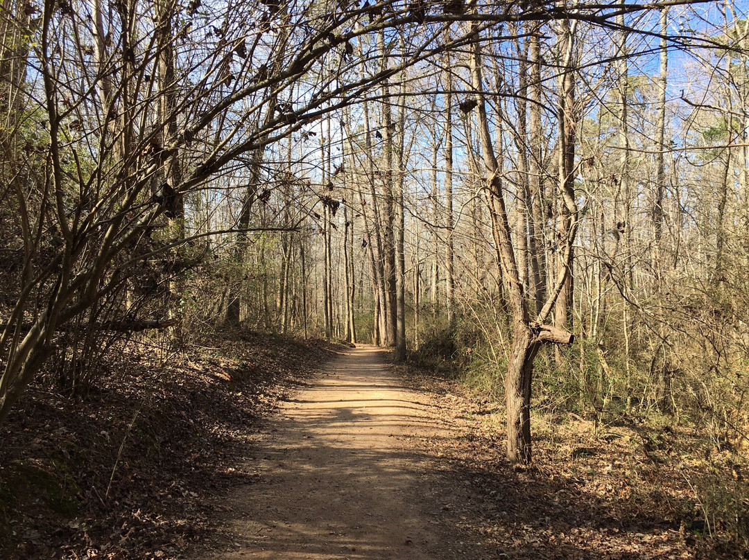 Caney Creek Preserve-卡明必去景点