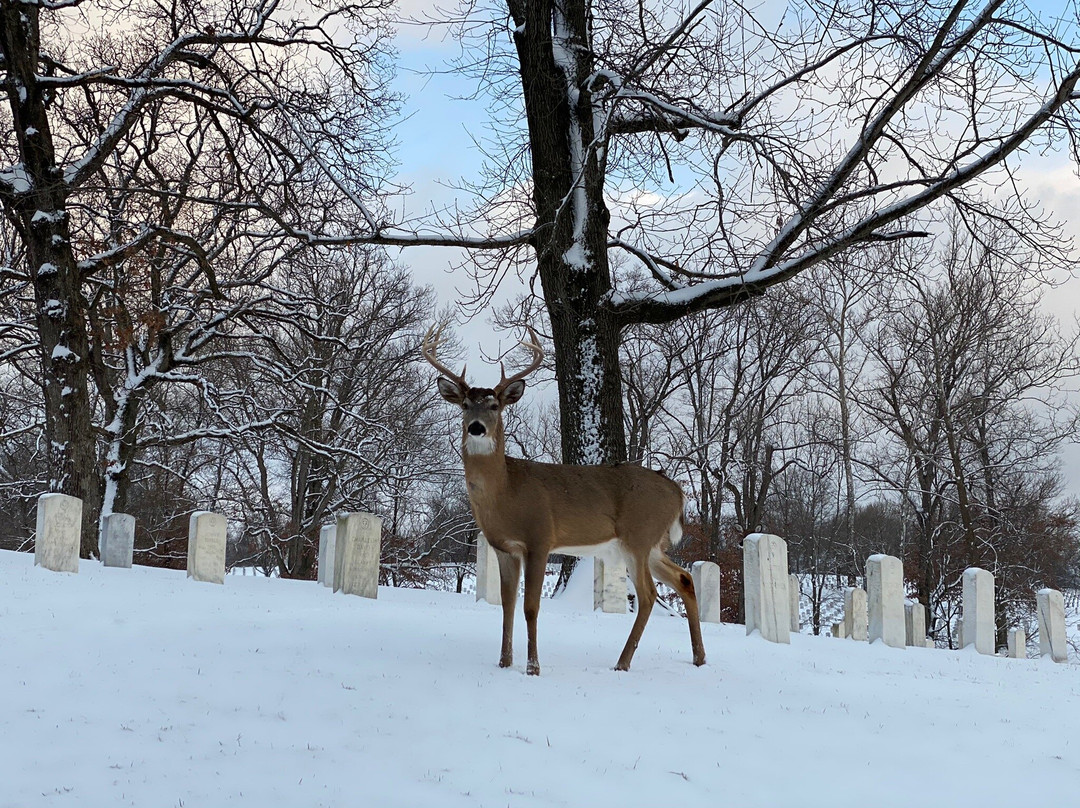 Jefferson Barracks Historic Park-圣路易斯必去景点