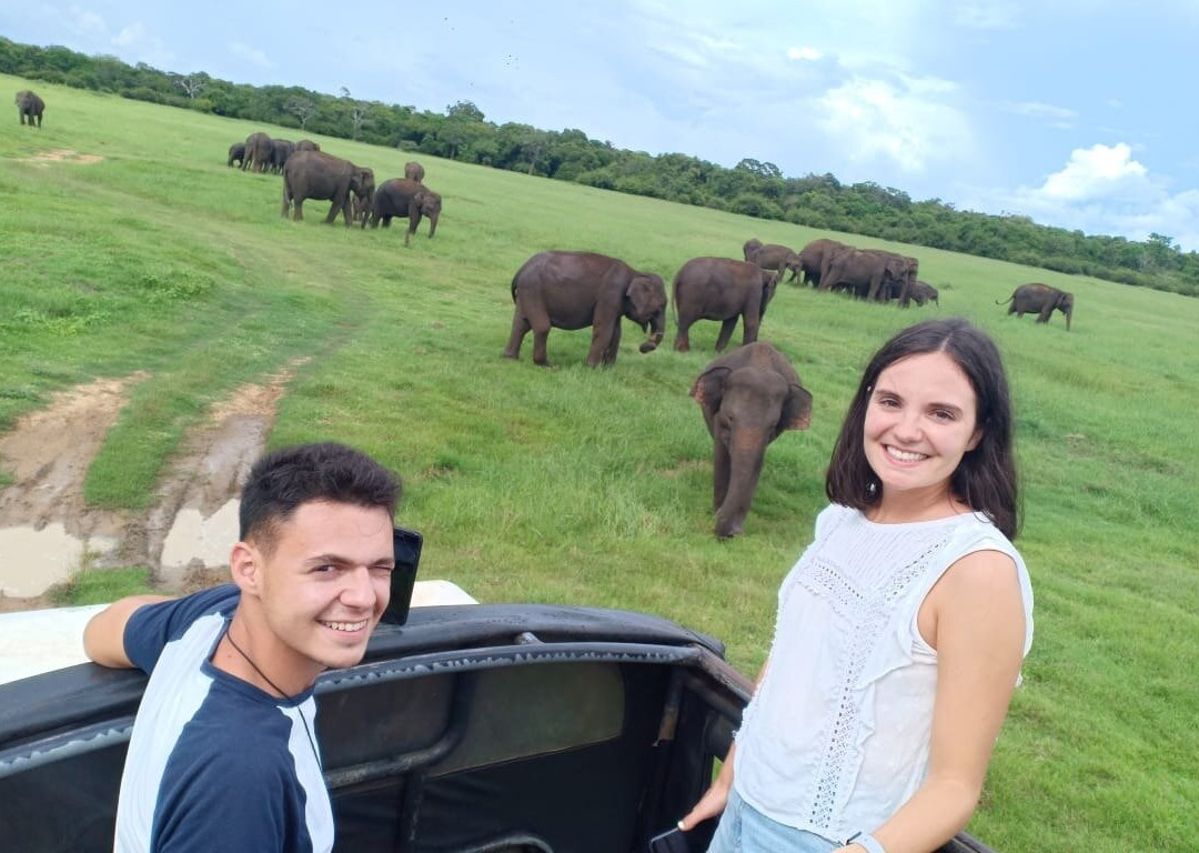 Hummingbird paradise-斯里贾亚瓦德纳普拉必去景点