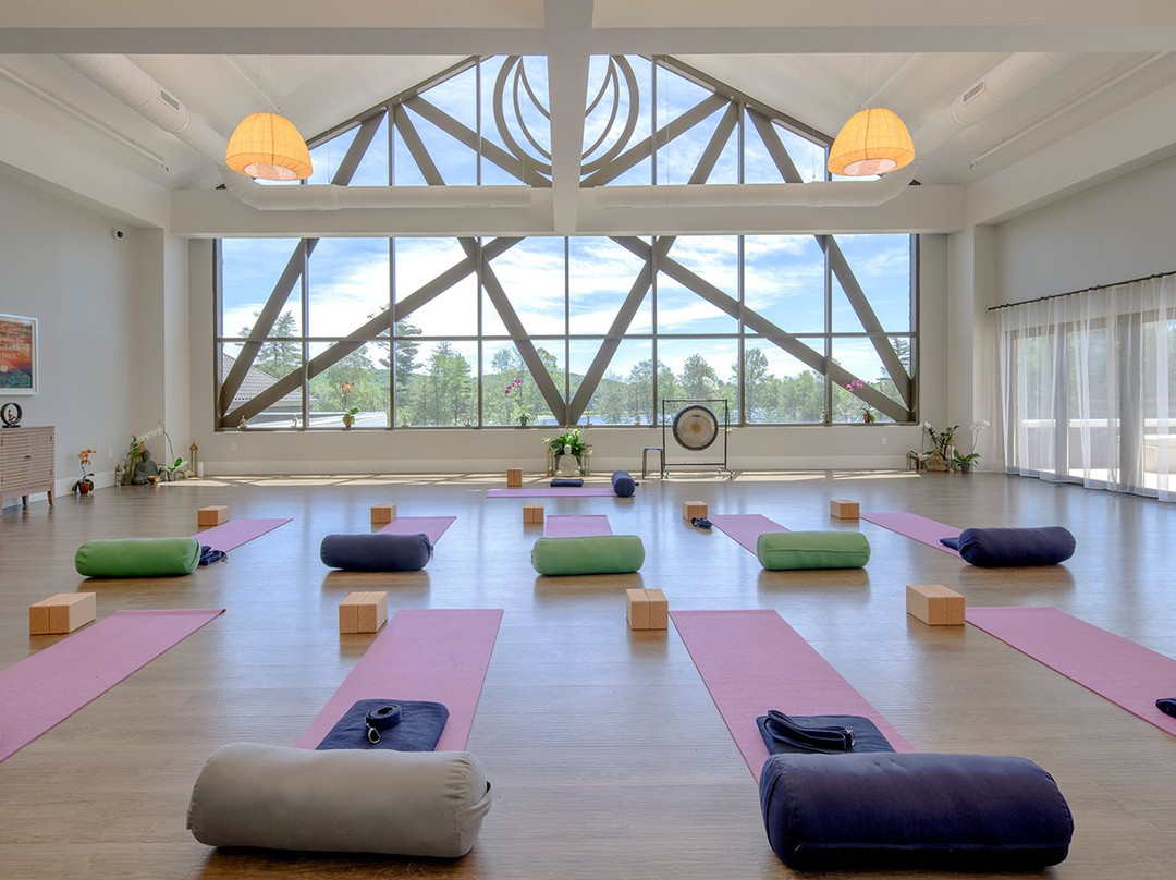 YO1 Longevity & Health Resorts主图