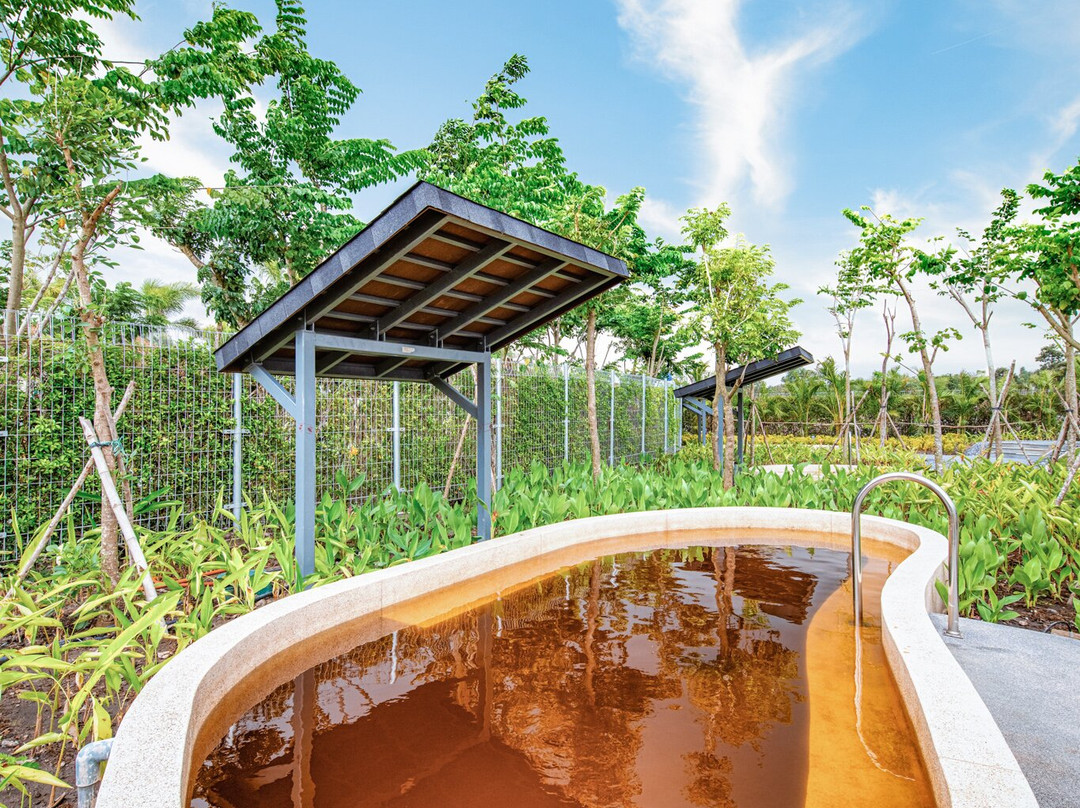 Minera Hot Springs Binh Chau (The Spa)-Binh Chau必去景点