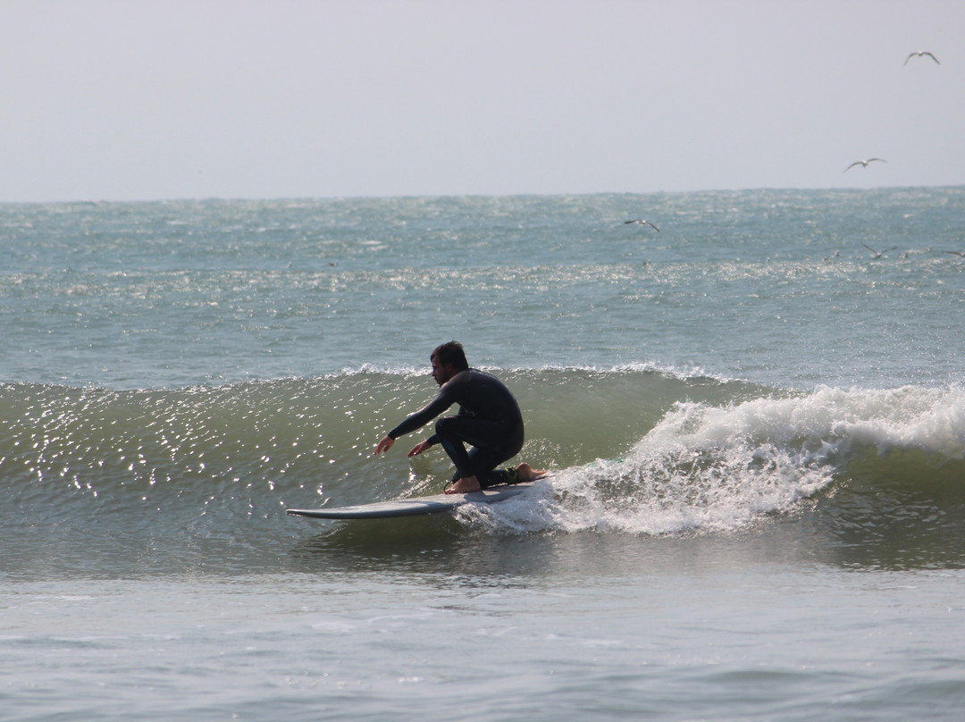 Sea Wolf Surf School-弗洛里亚诺波利斯必去景点