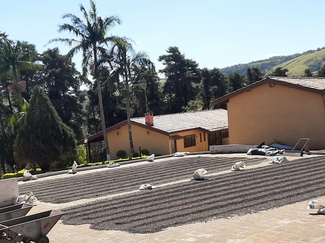 Fazenda Chapadão-塞拉内格拉必去景点