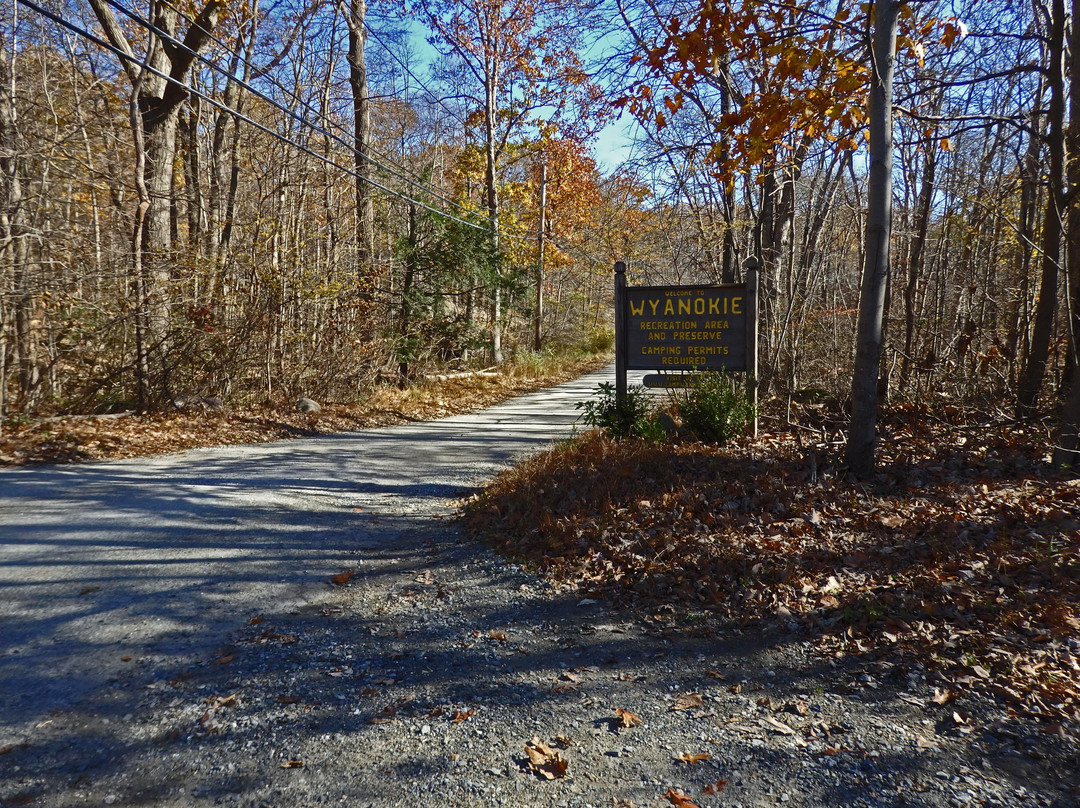 Norvin Green State Forest景点图片