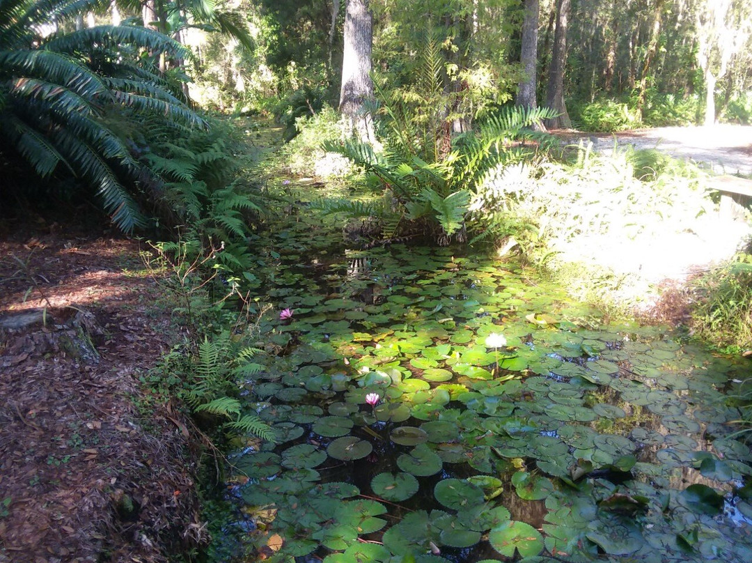 Eureka Springs Park-坦帕必去景点