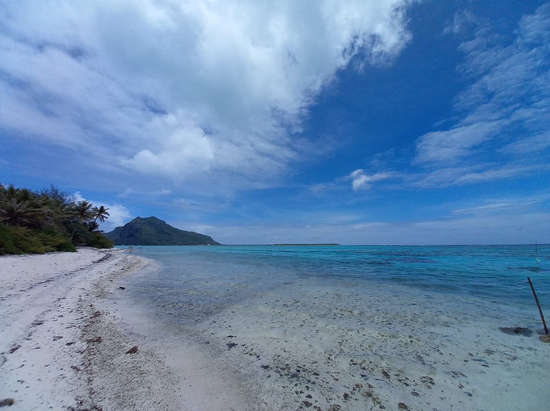 Pension Maupiti Village主图