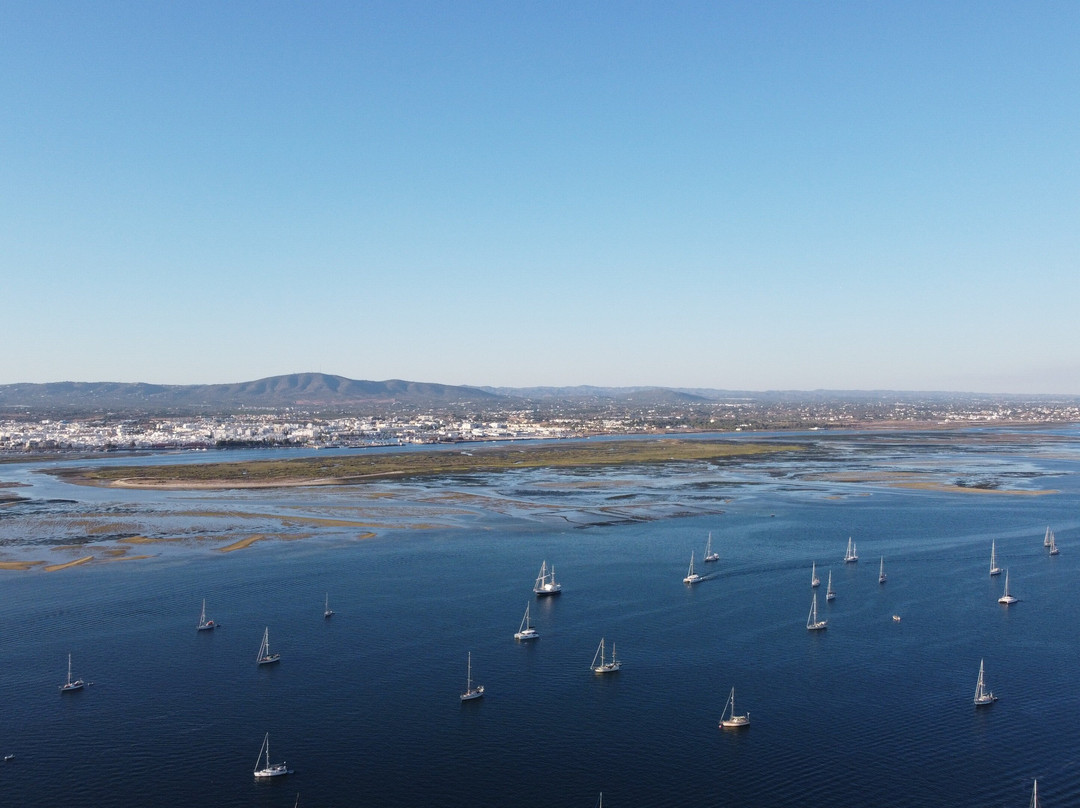 Passeios Ria Formosa - Olhão景点图片