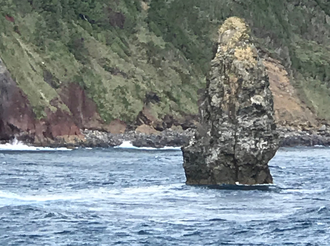 Fude Island-大岛町必去景点