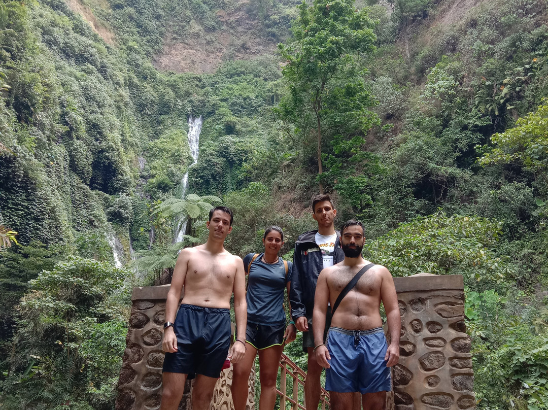 Madakaripura Waterfall-庞越必去景点