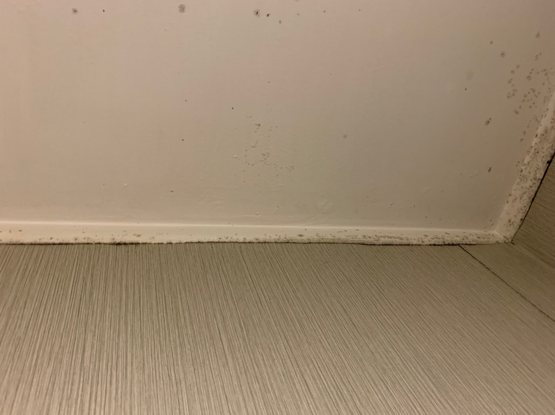 Quality Inn Cambridge主图