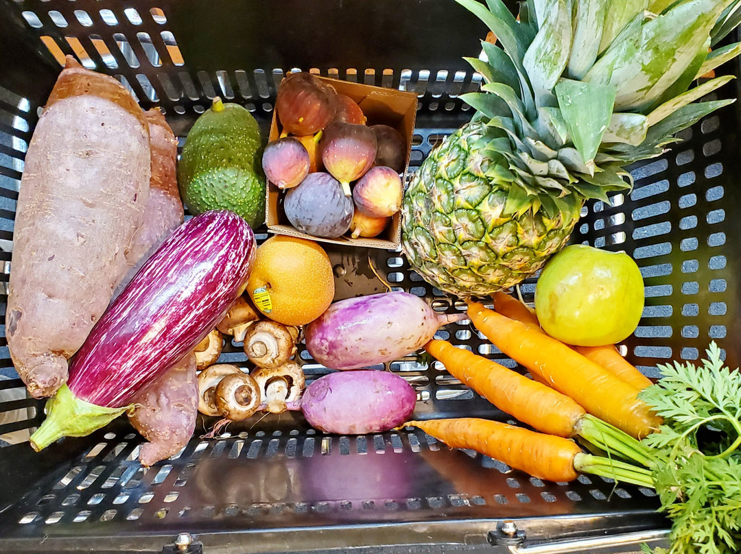 Durango Natural Foods Co-op-杜兰戈必去景点