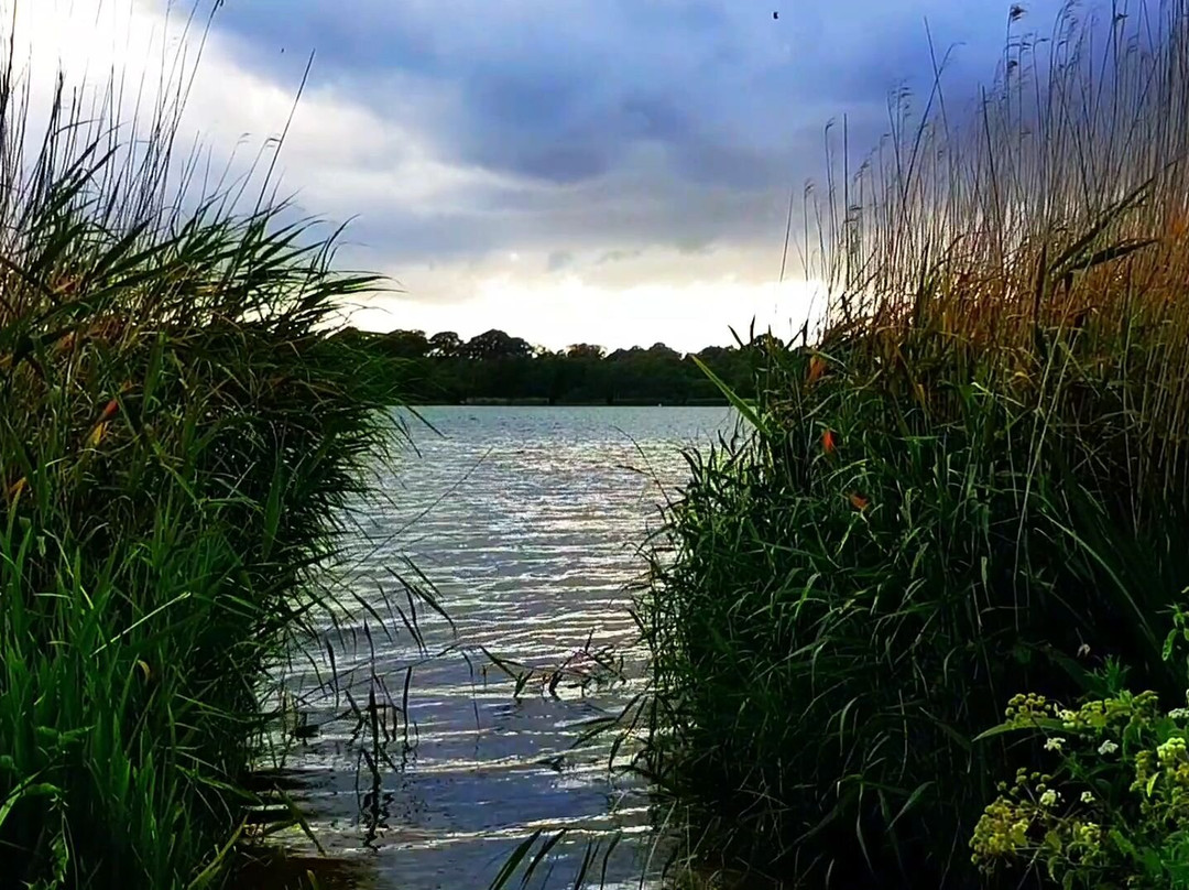 Frensham Great Pond and Common景点图片