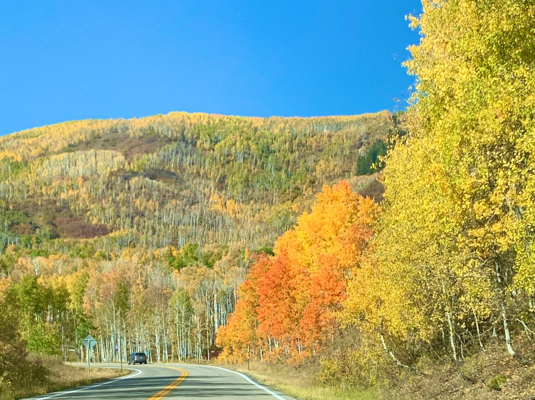 Grand Mesa National Forest-Collbran必去景点