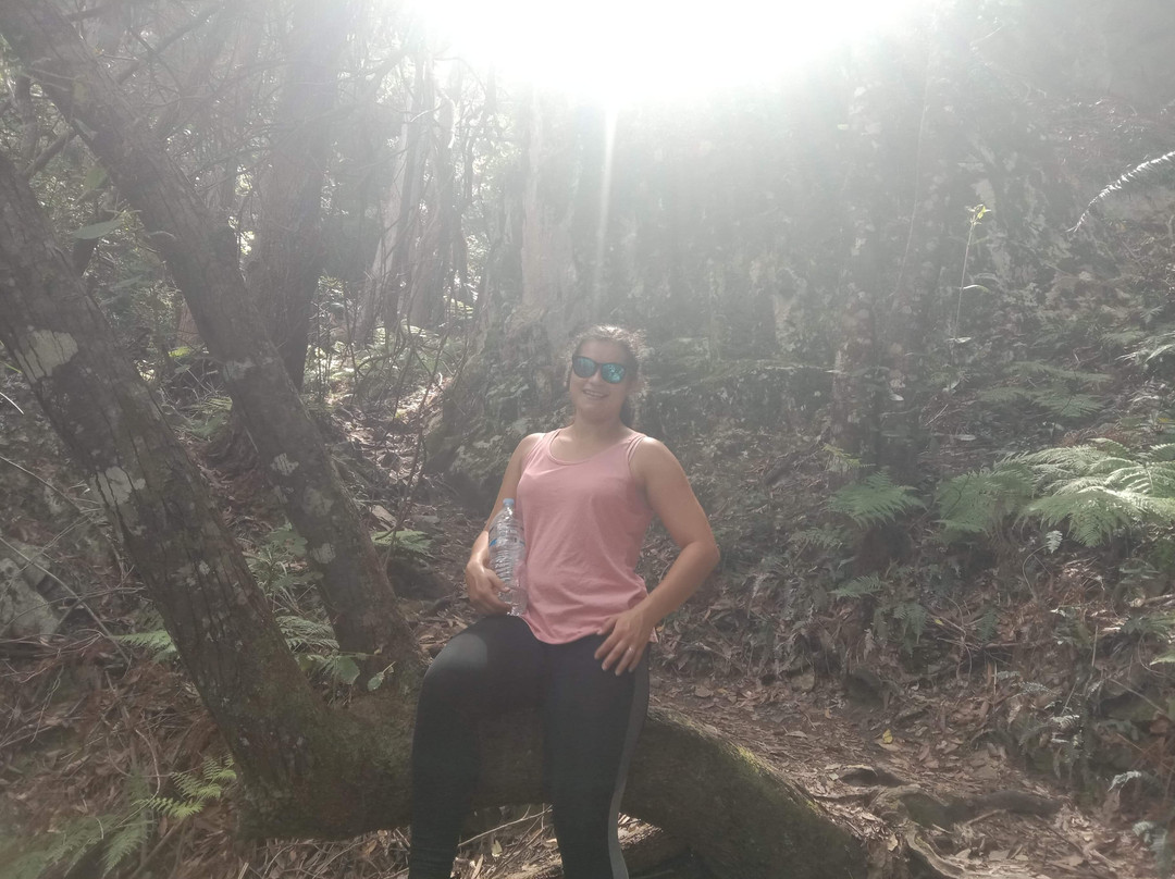 North Brother Mountain-Laurieton必去景点