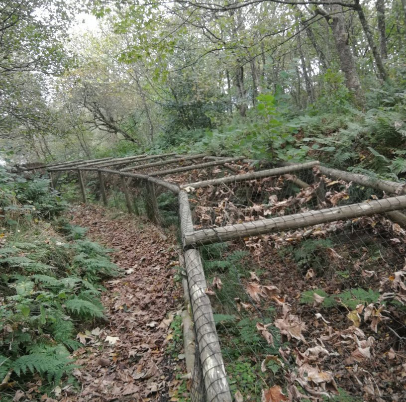 Sonderho Gl. Fuglekoje-法诺必去景点