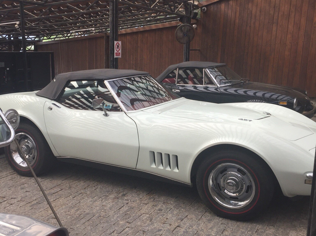 Museum of Automotive Art-雅尔达必去景点